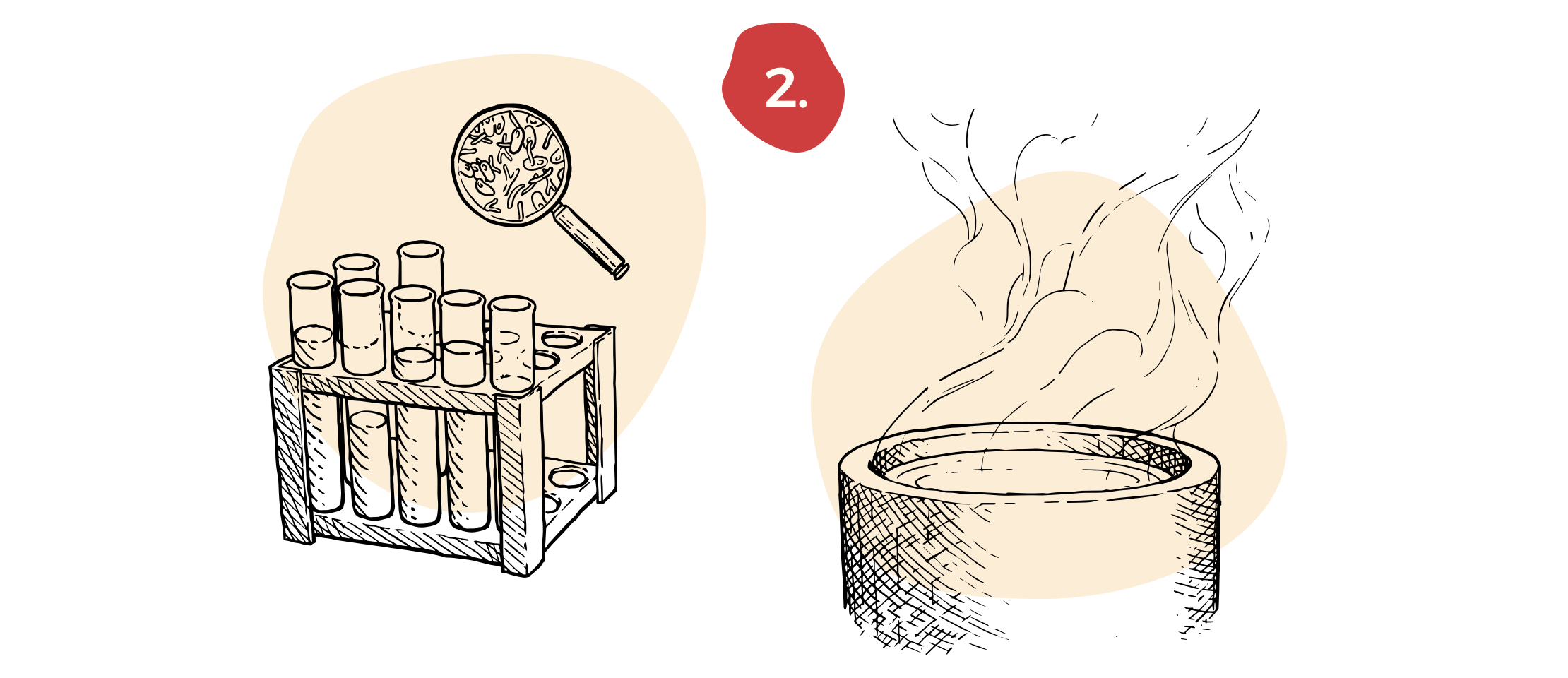2. Sélection et traitement