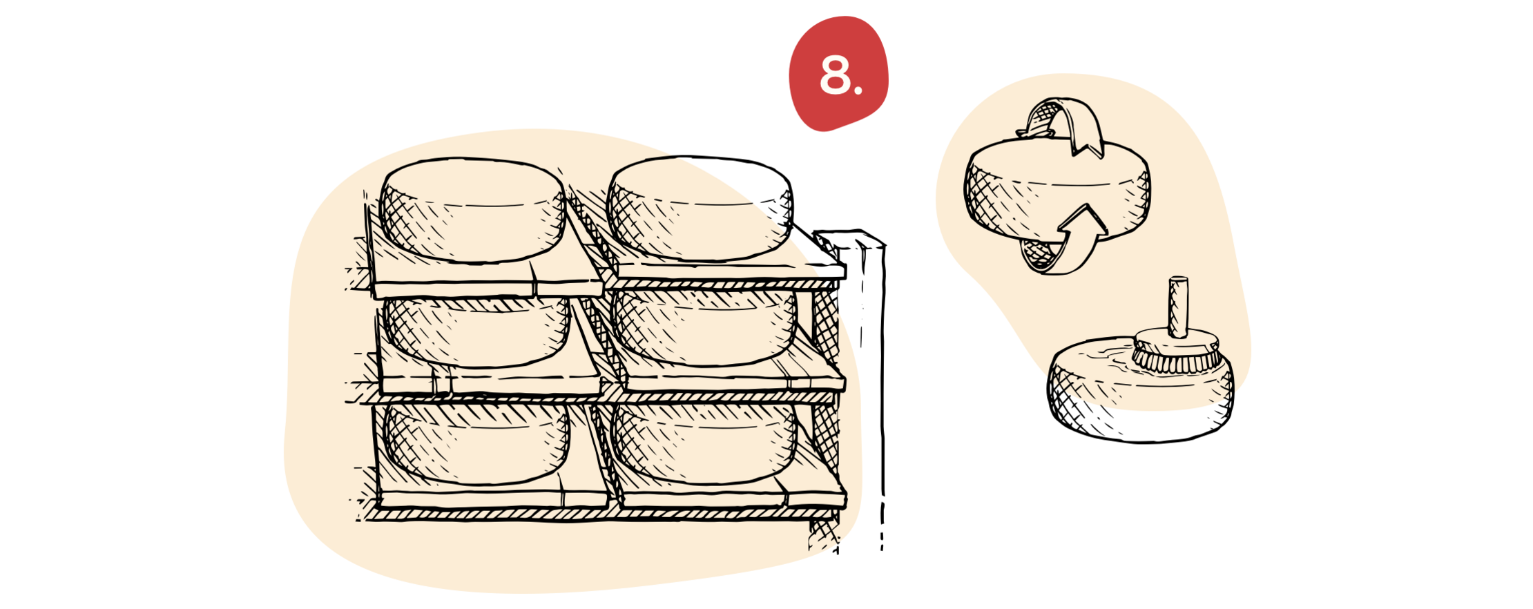 8. Maturation et affinage