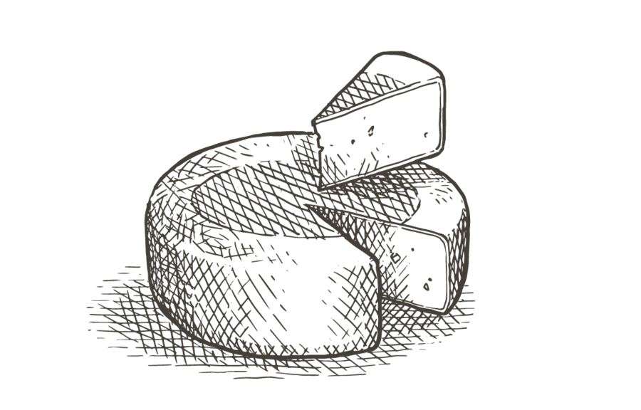 Fromages à pâte dure