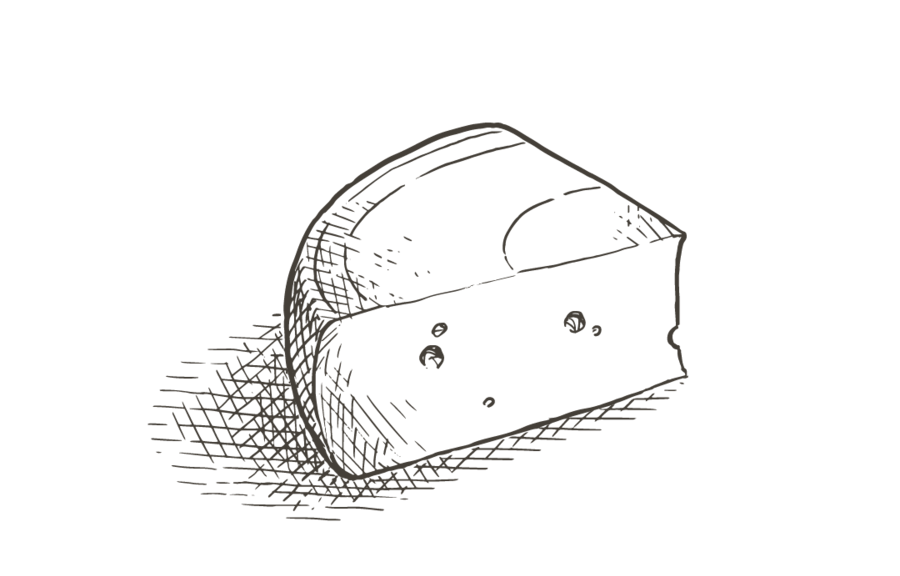 Fromages à pâte mi-dure