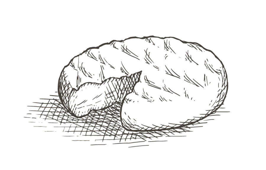 Fromages à pâte molle